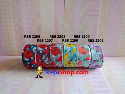 Pita RBS 2296 2301  large2